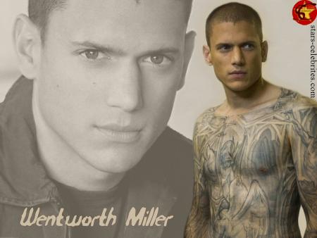 wentworth miller alias mikael scofield